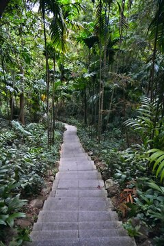 Fairy Lake Botanical Garden (also Xianhu Botanical Garden) in Luohu District of Shenzhen city, China. AAAA rated tourist attraction.