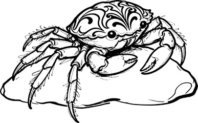 Fototapeta premium Black and white crab illustration on a rock detailed marine animal, sea creature line art drawing