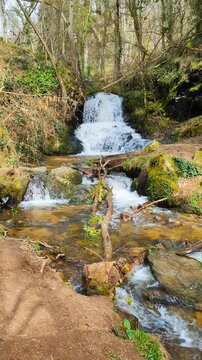 Wild Waterfall Le Petit Gornand Cascading Over Mossy Rocks in Gorges d'Enval Auvergne France