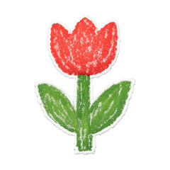 PNG Crayon tulip drawing illustration