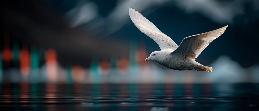 Melodic flight: ivory gull sails through the greenlandic coastal glaciers. Cryptocurrency trends. Emerald-blue waters and icy peaks: ivory gull's voyage over blosseville coast. Exchange rates.