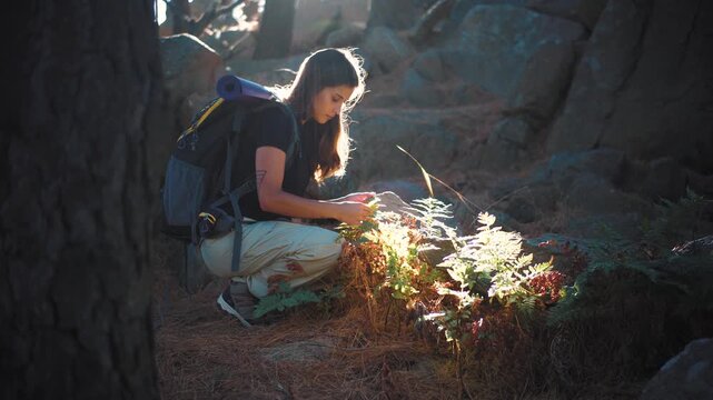 Young female explorer examining plants in the mountains while caring for the natural environment. Concept of environmental awareness, conservation, ecology, and sustainable outdoor exploration.
