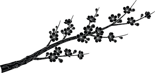 Black cherry blossom branch silhouette, Japanese sakura floral vector, spring tree plum blooming flowers, oriental nature element isolated on white. (20 words) © Rahim 