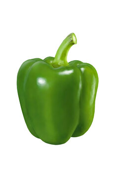  Fresh Green Bell Pepper with Transparent Background
