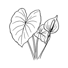 Naklejka premium PNG Minimalist line art plant