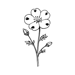 Naklejka premium PNG Delicate hand-drawn floral illustration.