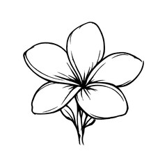 Naklejka premium PNG Minimalist line art flower illustration.