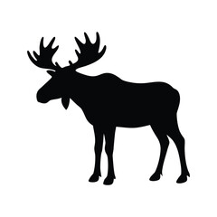 Obraz premium Black silhouette of a moose standing