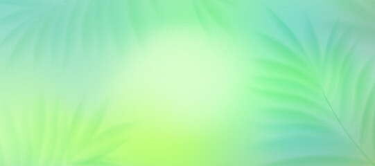 Summer background with green palm foliage. Blurred gradient, delicate palm branches. Close-up of green branches against a blue sky. Set of fresh vector blurred backgrounds © Hanna