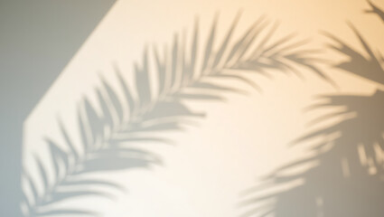 Fototapeta premium Shadow of palm leaves on wall in warm ambient light 