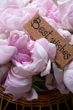 roses bouquet with "best wishes" romantic and beauty concept. macro