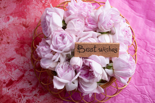 roses bouquet against double pink color  background with "best wishes". romantic concept