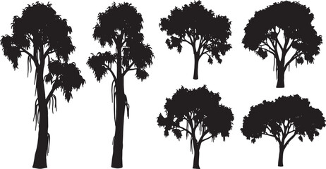 Black Solid Australian Eucalyptus Tree Silhouettes Set of Six on White Background © Sahileditz