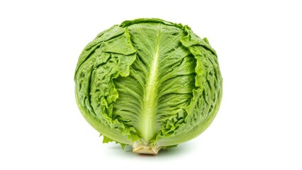 Fototapeta premium A close-up view of a vibrant green cabbage with intricate leaf patterns