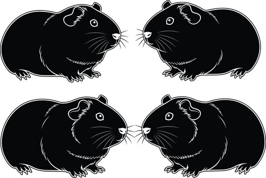 Guinea pig silhouette set cute cavy rodent pet vector illustration black animal icons facing each other isolated design clipart collection