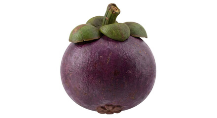 Single whole fresh ripe mangosteen fruit. Tropical diet concept