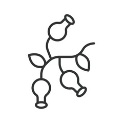 Rose hip icon in line design. rose hip berry fruit food fresh organic healthy farm market vitamin nutrition plant on white background vector. rose hip editable stroke icon © Bezvershenko