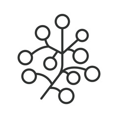 Red berry icon in line design. red berry fruit fresh organic sweet healthy farm market nutrition dessert ingredient on white background vector. red berry editable stroke icon © Bezvershenko