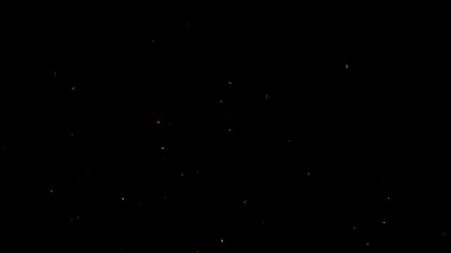 orange color  confetti explosion particle overlay on black background