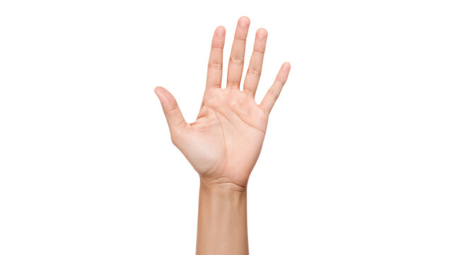 Human open hand raised with palm facing forward, isolated on a white background, symbolizing communication, counting, or greeting