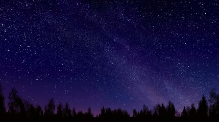 Fototapeta premium A starry night sky with a silhouette of a forest in the foreground, featuring a variety of stars, constellations, and a milky way galaxy.