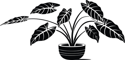  A stylish monochrome illustration showcasing a lush indoor plant in a decorative pot, its striking leaves radiating elegance and serenity. © sm.vector