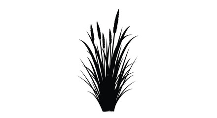 Tall cattails and grasses create a striking dark silhouette © MST
