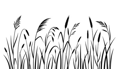 Naklejka premium Minimal tall wild grass silhouette vector meadow plant illustration