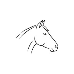 Line Drawing of Horse Head Profile.