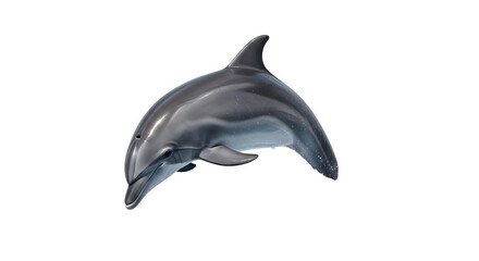 Graceful dolphin leaping elegantly through clear waters isolated on transparent background