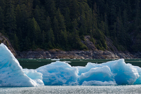 Blue Icebergs Floating in Tracy Arm Fjord Alaska