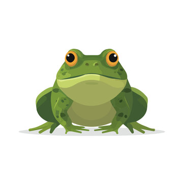 Bullfrog illustrated in a clean 2D flat vector style, minimal and modern, isolated on a white background.