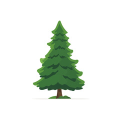 Obraz premium Cedar Tree, modern 2D flat vector illustration in icon style, isolated on pure white background.