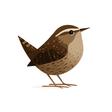Wren, modern 2D flat vector illustration in icon style, isolated on pure white background.