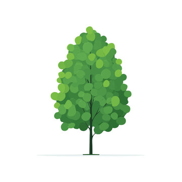 Alder Tree, modern 2D flat vector illustration in icon style, isolated on pure white background.