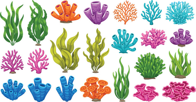 Colorful coral reef and seaweed collection underwater marine plants ocean ecosystem cartoon flat vector illustration set