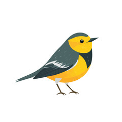 Fototapeta premium Warbler illustrated in a clean 2D flat vector style, minimal and modern, isolated on a white background.