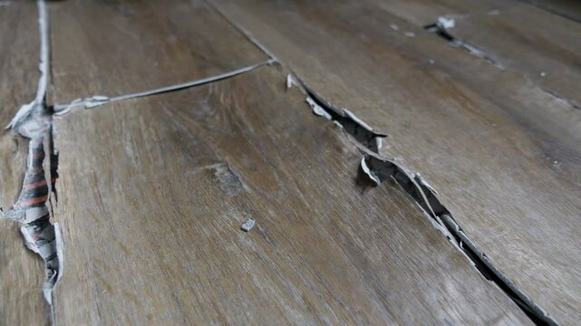 buckled laminate floor with torn planks and visible crack caused by heated floor expansion. closeup of damaged floor covering with lifted edges