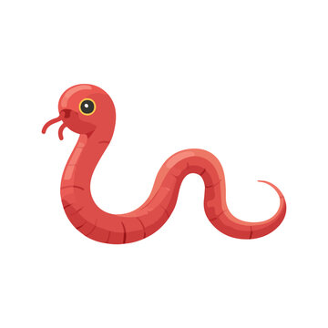 Earthworm, 2D flat vector illustration, simple and modern style, isolated on a plain white background.