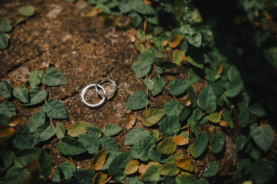 Wedding Rings Placed on Forest Ground with Leaves