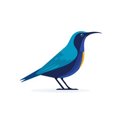 Obraz premium Sunbird in a clean 2D flat vector icon style, minimal and simple, set on a plain white background.