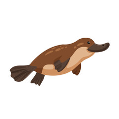 Fototapeta premium Modern flat 2D vector illustration of Platypus, clean and minimal design, isolated on white background.