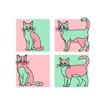 cats with four color