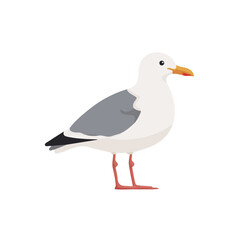 Obraz premium Seagull, 2D flat vector illustration, simple and modern style, isolated on a plain white background.