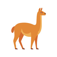 Fototapeta premium Modern flat 2D vector illustration of Guanaco, clean and minimal design, isolated on white background.