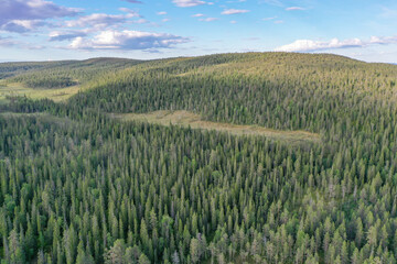 An aerial of wetland and coniferous forests in Riisitunturi National Park, Northern Finland © Kersti Lindström