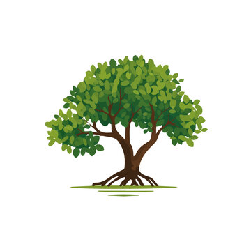 Simple flat 2D vector graphic of Mangrove Tree, modern icon look, displayed on a pure white background.