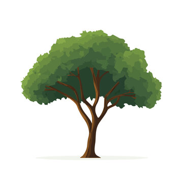 Koa Tree in a clean 2D flat vector icon style, minimal and simple, set on a plain white background.