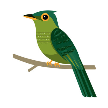 Koel in a clean 2D flat vector icon style, minimal and simple, set on a plain white background.