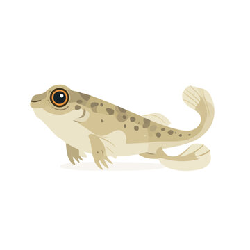 Mudskipper, modern 2D flat vector illustration in icon style, isolated on pure white background.